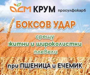 боксов удар