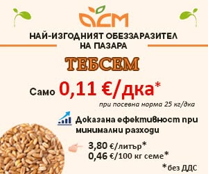 тебсем