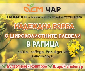 чар