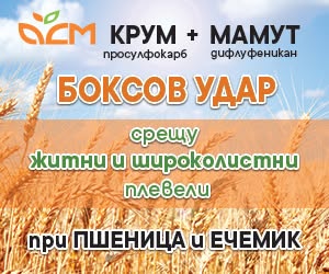 боксов удар