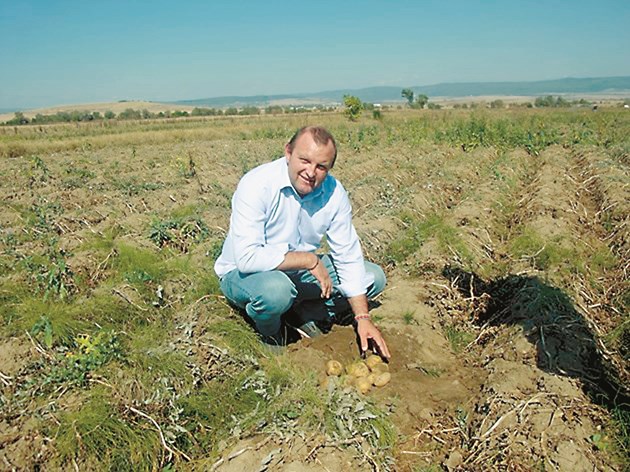 Тодор Джиков, НАК: Втора поредна година тежки загуби за картофопроизводителите
