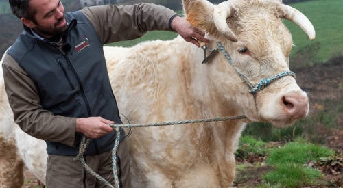 Френски животновъд: Бъхтя по 70 – 80 часа седмично, а печеля под минималната заплата