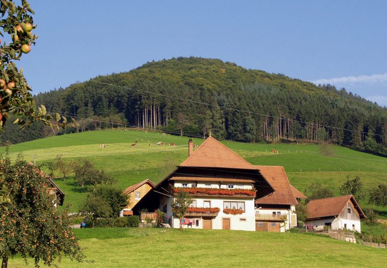 329 евро за хектар е средната рента в Германия