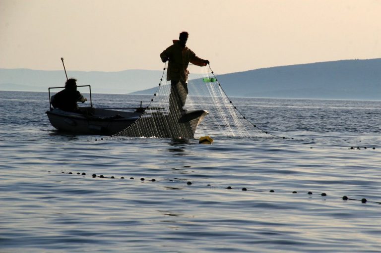 МЗХГ започва процедура за осигуряване на de minimis за сектор „Рибарство”