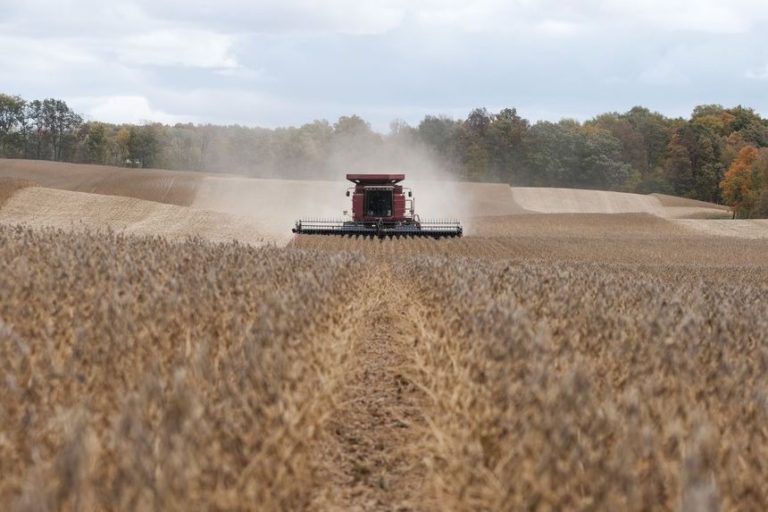 The Wall Street Journal: Цените на пшеницата, соята и царевицата се очаква да бъдат колебливи през 2023 г