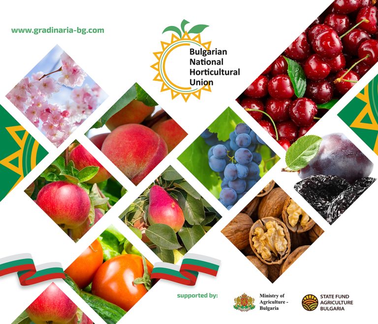 Националният съюз на градинарите ще покаже качествена българска продукция на FRUIT LOGISTICA 2023