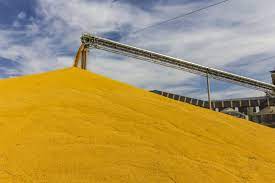 Украинското министерство на икономиката предвижда спад на реколтата от зърно през 2023 г. до 49,5 милиона