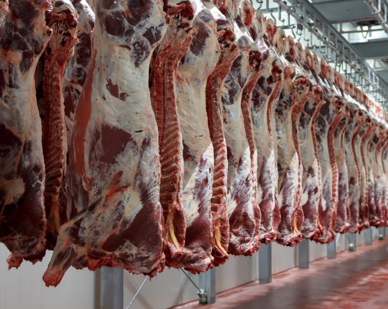 Българският износ на месо през последните 15 години