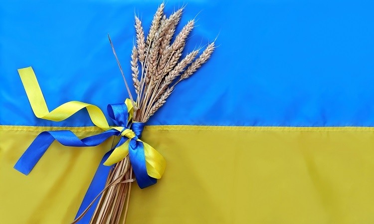 В Украйна влязоха в сила специални условия за износ на зърно и маслодайни семена