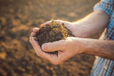 Нов инструмент картографира състоянието на почвата в цяла Европа