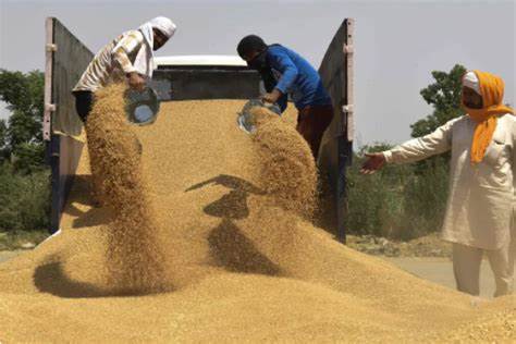 Индия да продължи да ограничава износа на пшеница, за да попълни местните запаси, призовават мелничари