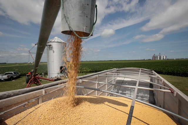 Драстичен срив на цените на зърното в Чикаго и Париж