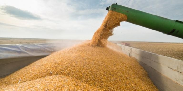 Геополитически фактор разбуни зърнените пазари