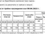 1406-трайни