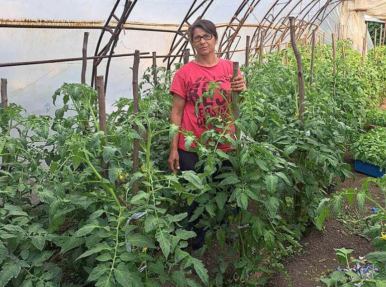 Димитрина Димитрова, земеделски производител от Кула: „Цените не покриват труда ни“