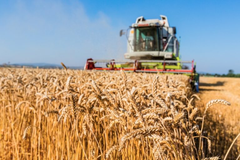 Зърнените култури са с крачка по-близо до симбиоза с азотфиксаторите в почвата