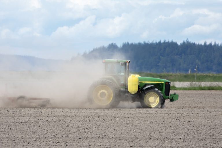 EК разреши вноса на три нови ГМО сорта царевица