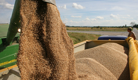 Леко повишаване на цените на основните зърнени контракти по световните борсови пазари