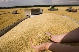 Градусът на напрежение на зърнените пазари отново се покачи