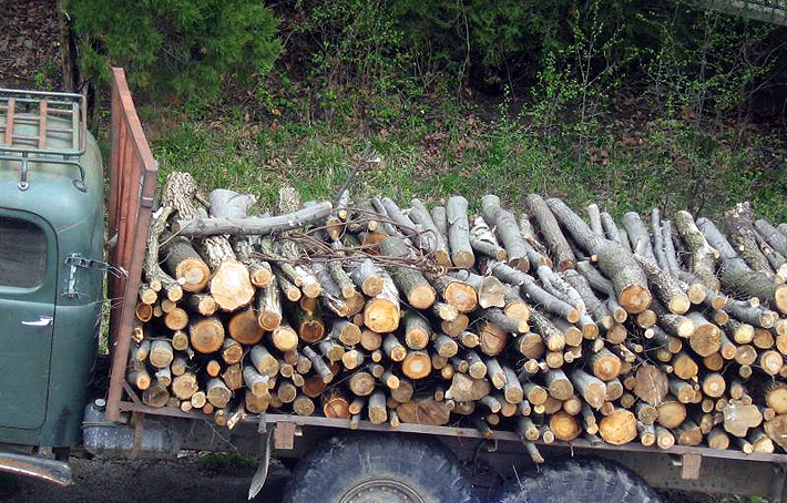 Министерството на земеделието и храните гарантира непрекъснатото осигуряване на дърва за огрев за местно население