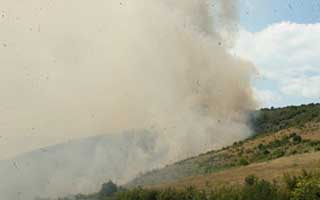 Ликвидирани са общо 175 пожара в страната през изминалото денонощие
