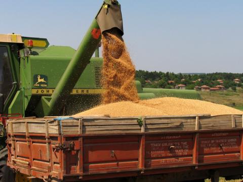 Повишение нa цените на повечето зърнени контракти по световните борсови пазари