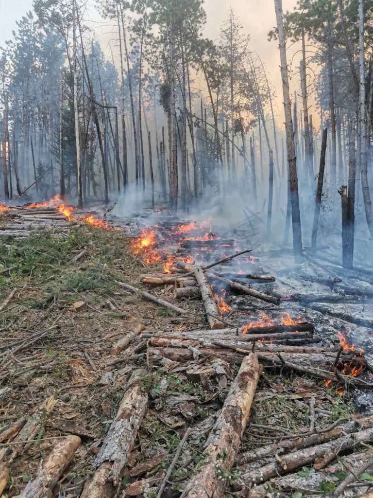 Близо 200 горски служители участват в гасене на пожари в страната