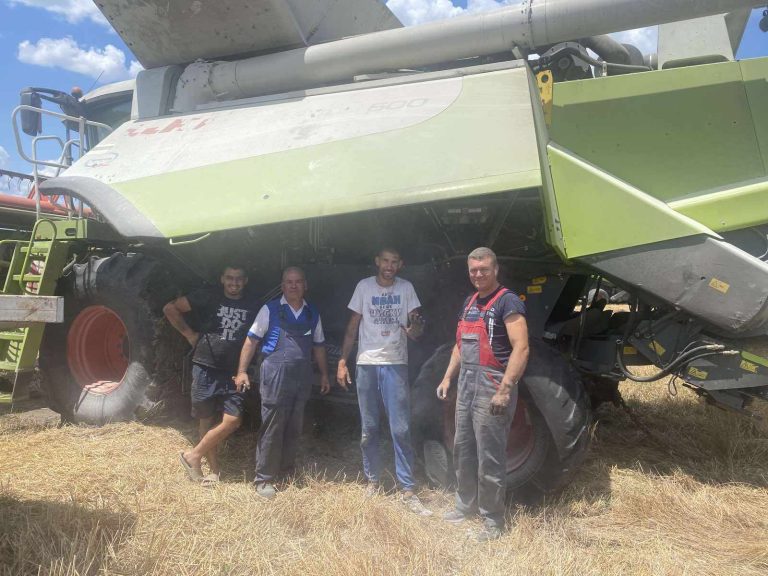 500 кг от декар е средният добив на пшеница в Сливенско