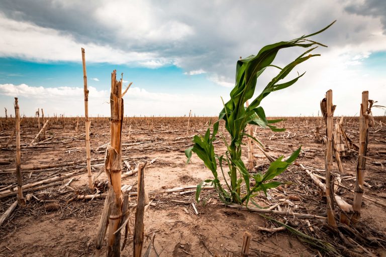 Прецизното земеделие е прехода към климатичните промени