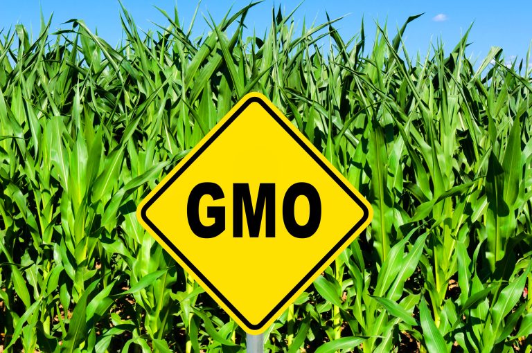 Притискат Европейската Комисия да въведе изменения в закона за ГМО