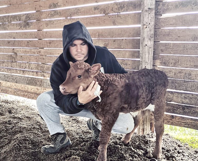 Васил Дамянов, животновъд: Успешният агробизнес иска желание, знания, практика