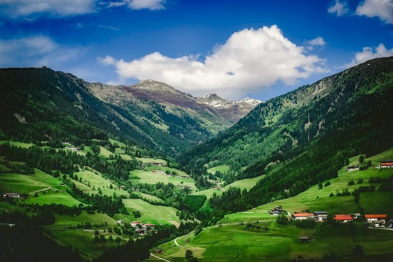 Австрия ще инвестира 93 млн. евро годишно в алпийските пасища до 2027 г.