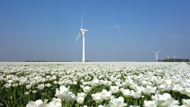 Нидерландия ще развива земеделието си с близо 9 млрд. евро до 2027 г.