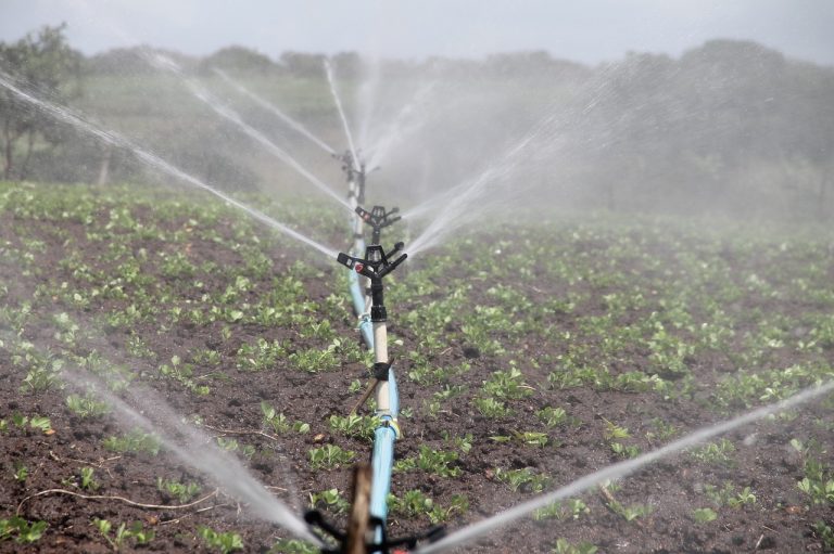 От 21 август земеделските стопани могат да кандидатстват по помощта за напояване