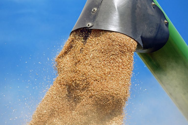 Екстремалната жега в САЩ стабилизира зърнените пазари