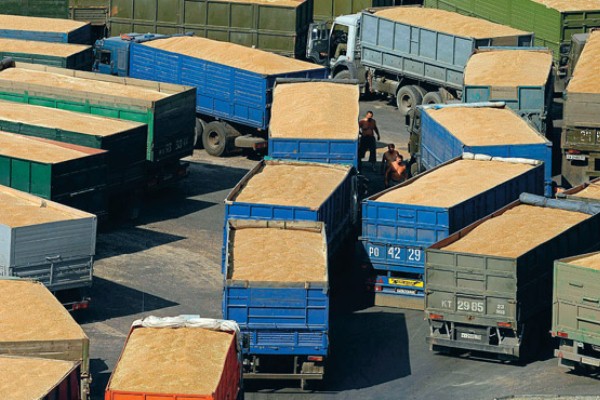 Цените при пшеницата и царевицата на световните борси леко се повишиха