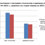 Площи за реколтиране слънчоглед и царевица към 27.07.2023 г