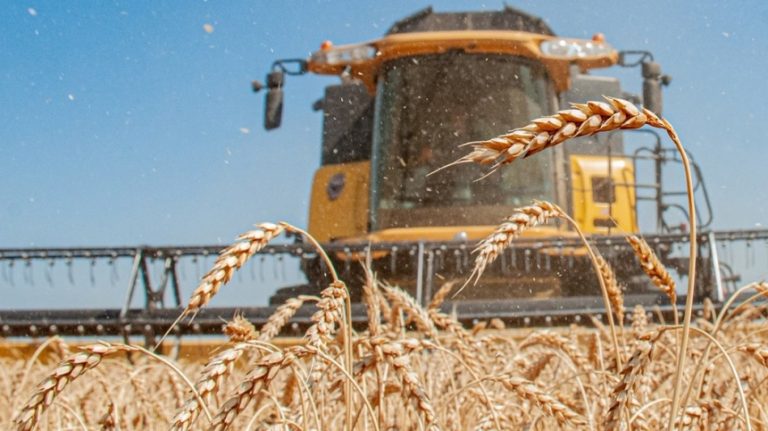 Украйна може да загуби до 4 милиарда долара поради намаляване на износа на зърно