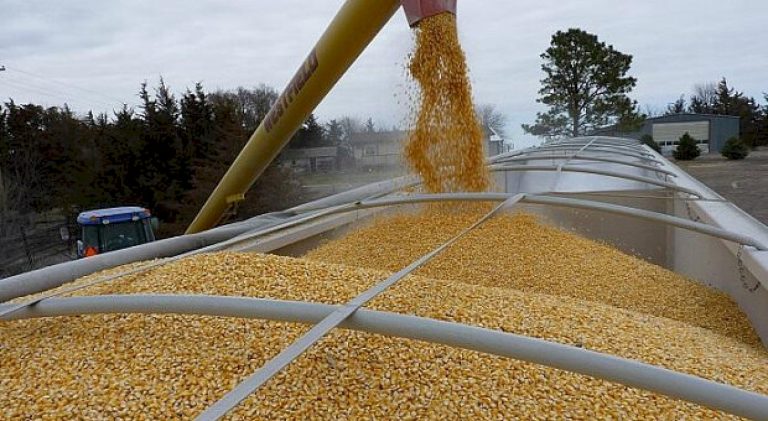 Износът на зърно и маслодайни семена от Украйна през новия сезон може да достигне почти 49 милиона тона