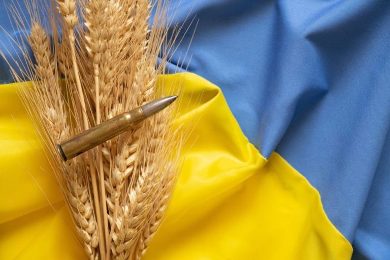 Износът на зърно от Украйна продължава низходящата тенденция