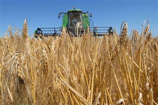 Русия се върна в петте най-големи доставчици на зърно в ЕС