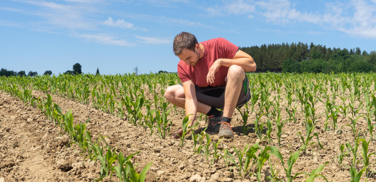 Австрийският лидер PÖTTINGER продължава да расте, защото всеки има нужда от земеделие!