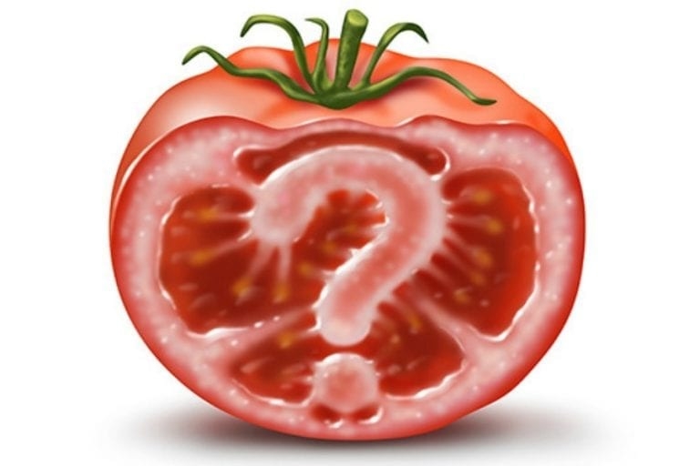 Новите геномни техники: Ще лекуват ли доматите рак и защо обществената дискусия е важна