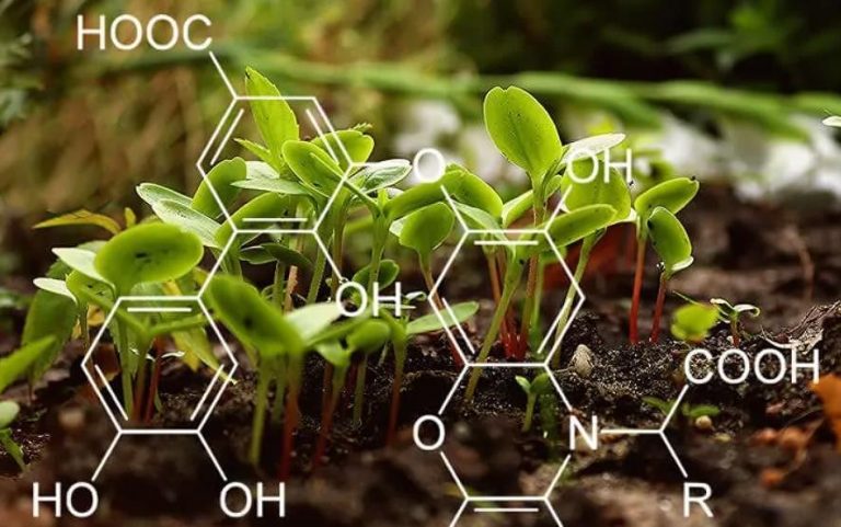 Tоп 5 ползи на хуминовите киселини за растенията