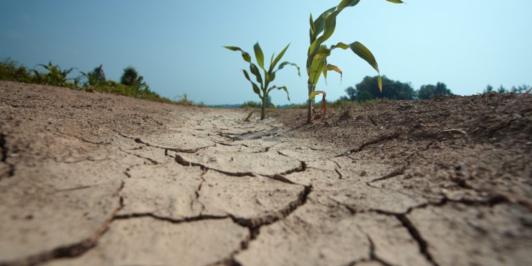 Почти 34 милиона евро от европейските фондове за солидарност са отпуснати на Румъния за възстановяване на щети, причинени от тежката суша през 2022 г.