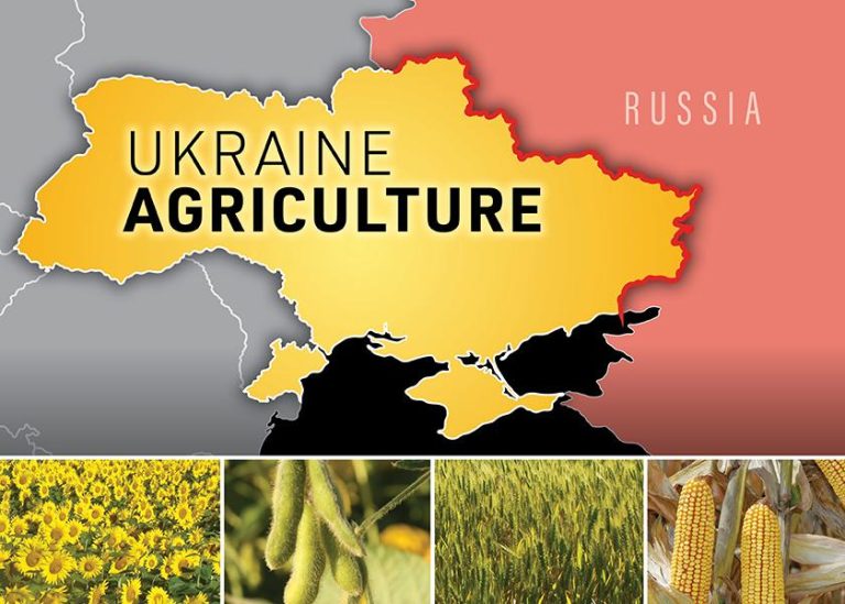 След присъединяването си към ЕС Украйна може да стане най-големият производител на селскостопански продукти в Европа