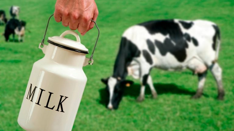 EК: Производството на мляко е в повратен момент