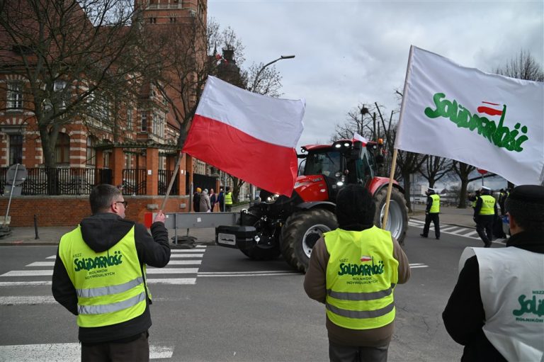 Полша е абсолютен лидер в ЕС по помощи  за фермерите през 2023 г.