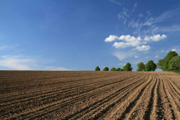 Съдът на ЕС: Чужди граждани могат да купуват земеделска земя в България