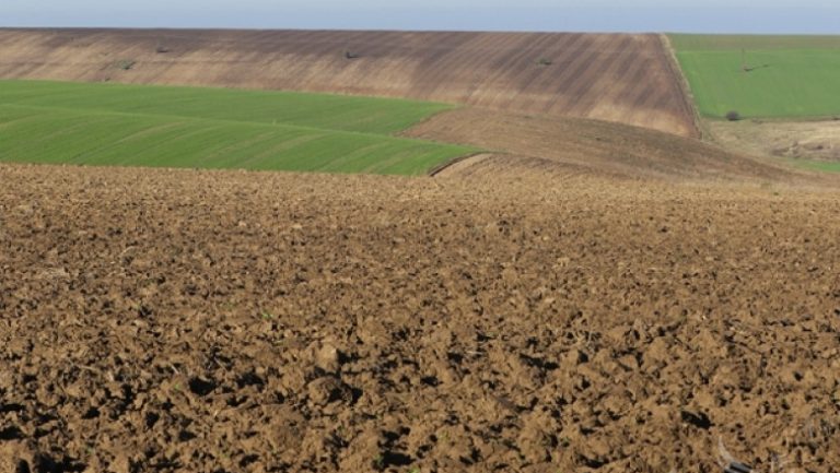 Почвите като уловители и източници на въглерод